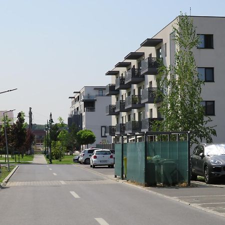 Amazing Apartament With Garden Bucharest Airport Self Check-In!! Otopeni Exterior foto