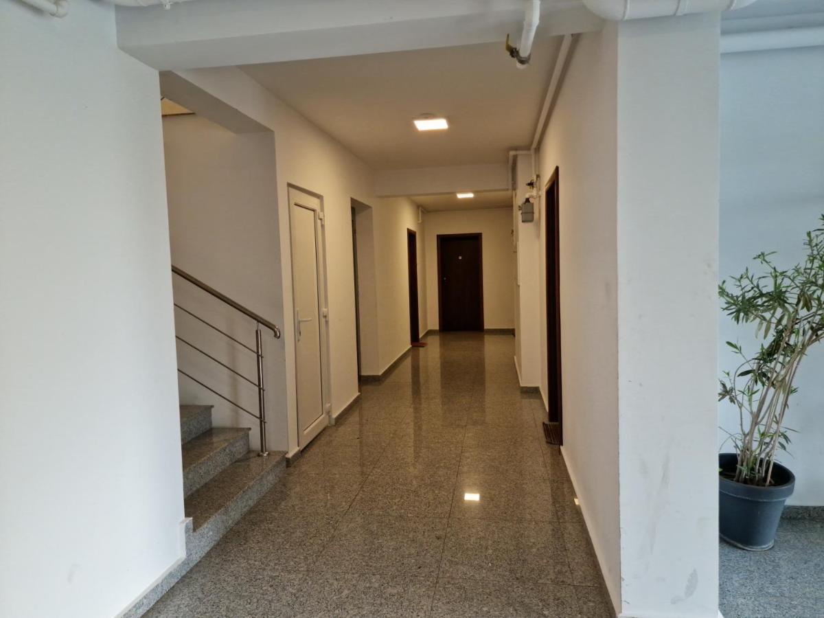 Amazing Apartament With Garden Bucharest Airport Self Check-In!! Otopeni Exterior foto